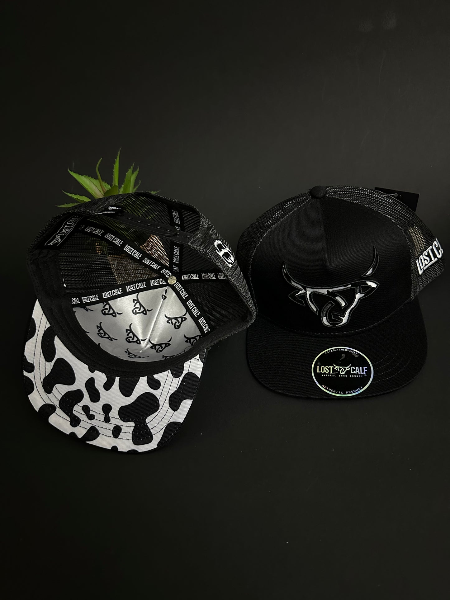 Lost Calf Cowprint Niño SnapBack