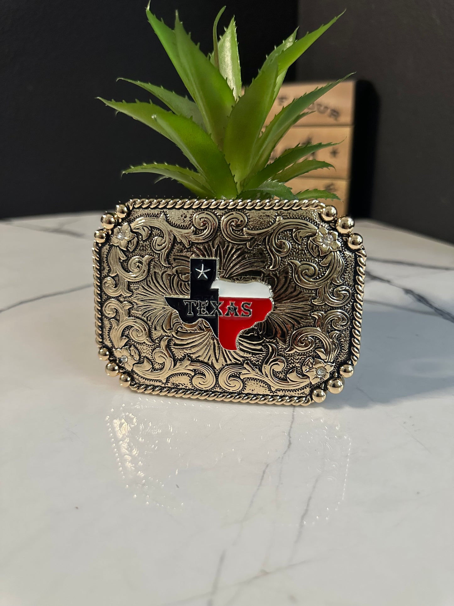 SJ- Texas Logo Belt Buckle
