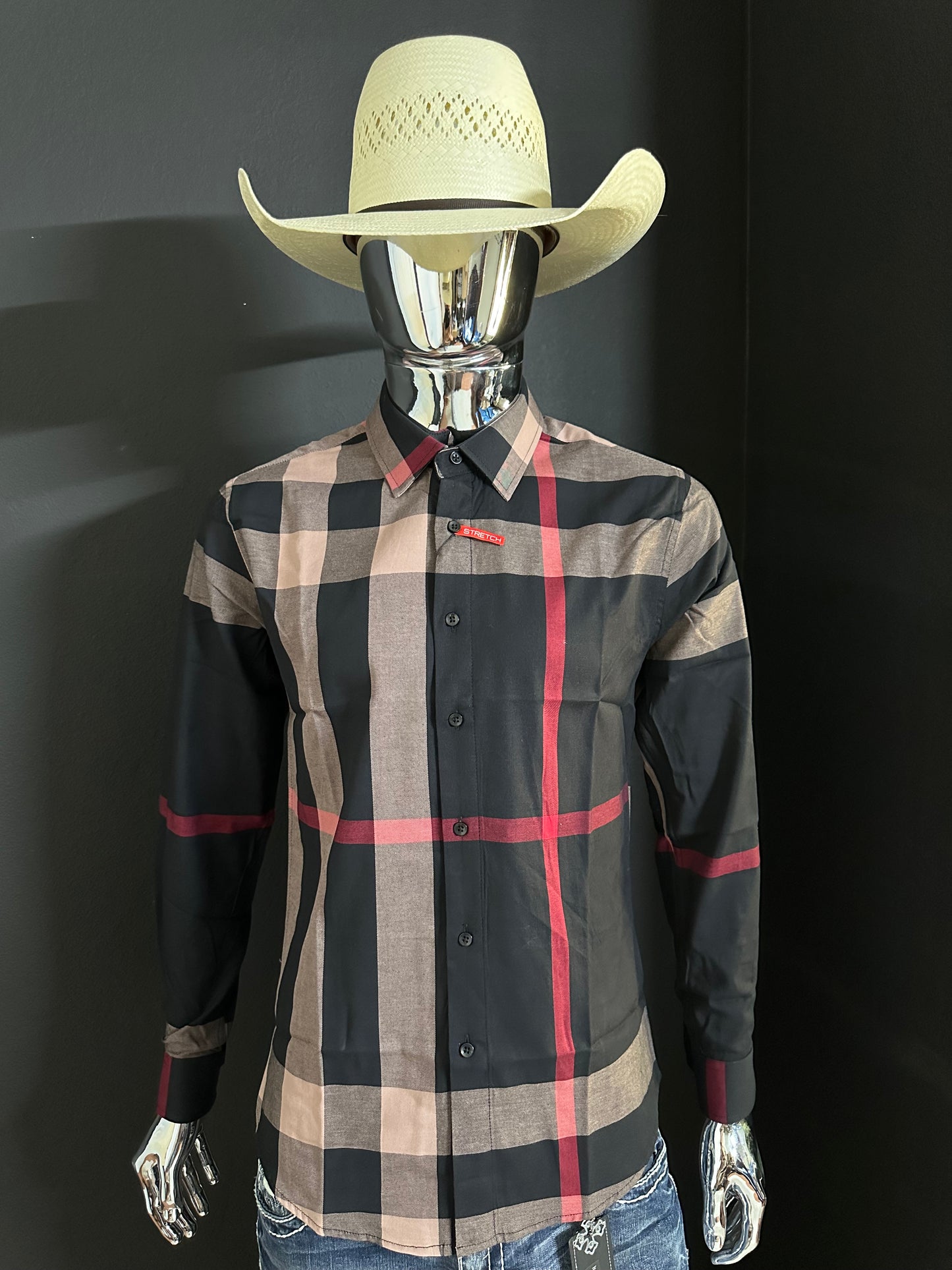 Denis Men’s Western Shirt