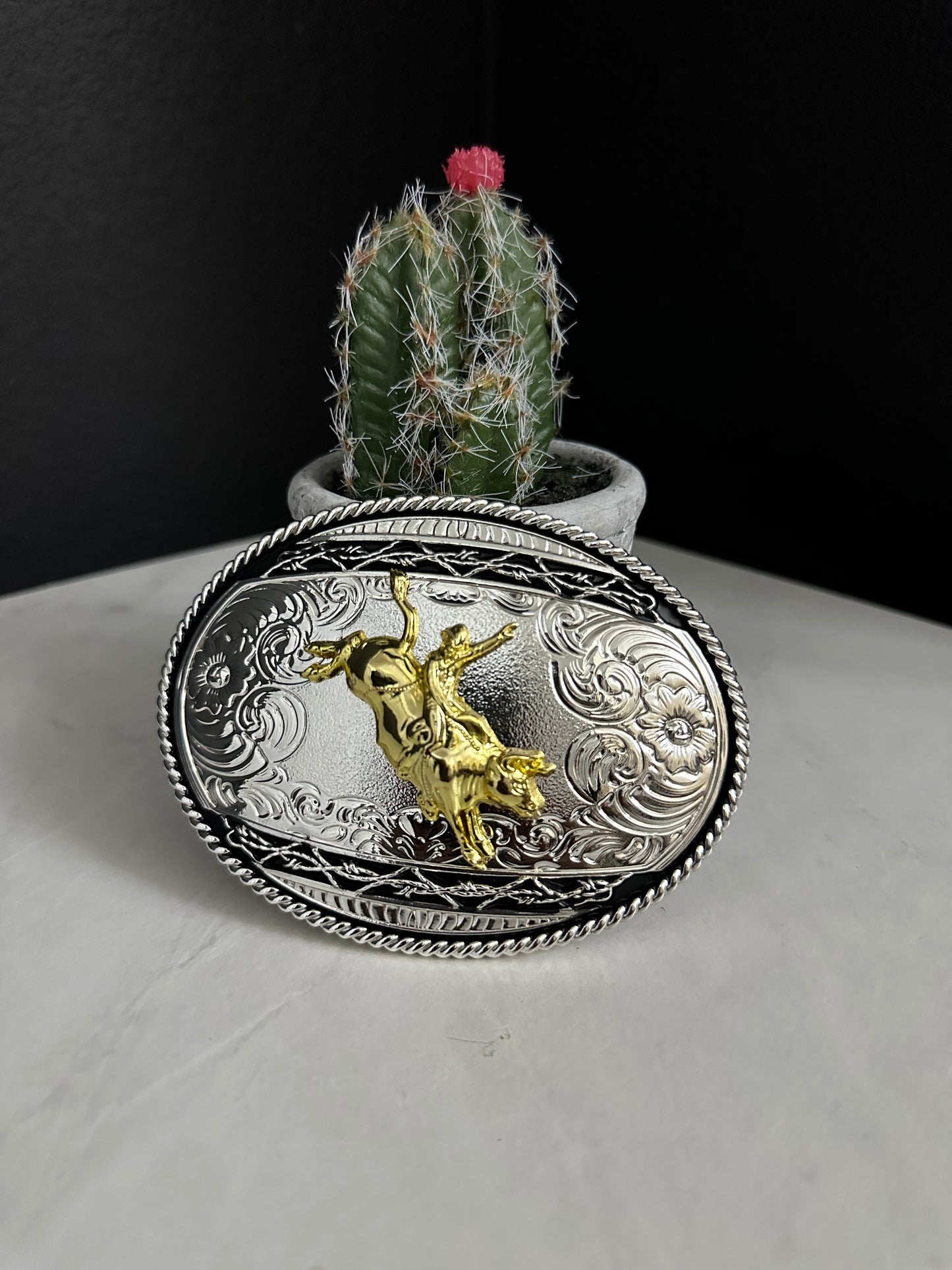 Oval Bull Riding Belt Buckle